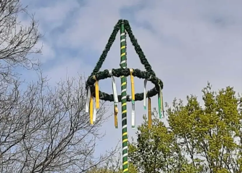 Maibaum 2022 Stelingen