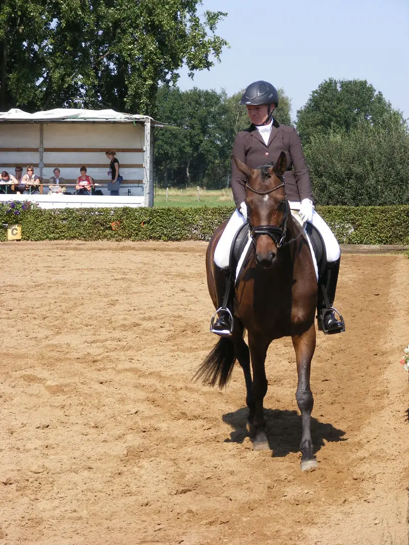 Reiterin im Dressurviereck beim Turnier
